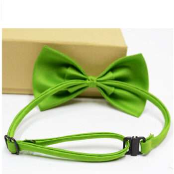 Halsband - Fluga till hund eller katt