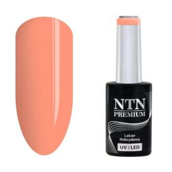 NTN Premium - Gellack - Delight Sorbet - Nr152 - 5g UV-gel/LED