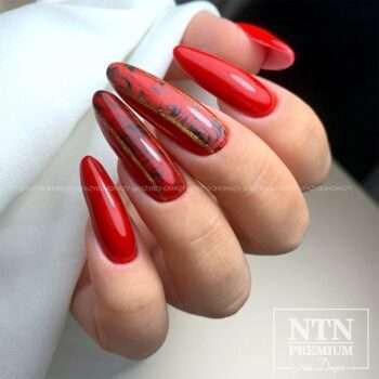 NTN Premium - Gellack - Celebration - Nr168 - 5g UV-gel/LED