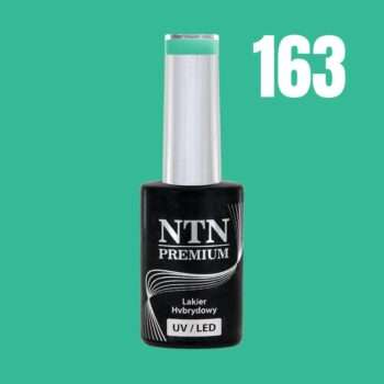 NTN Premium - Gellack - Celebration - Nr163 - 5g UV-gel/LED