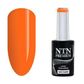 NTN Premium - Gellack - Ambrosia - Nr162 - 5g UV-gel/LED
