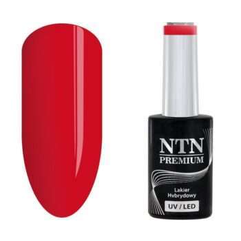 NTN Premium - Gellack - After Midnight - Nr66 - 5g UV-gel/LED