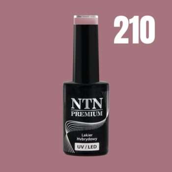 NTN Premium - Gellack - Drama queen - Nr210 - 5g UV-gel/LED