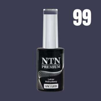 NTN Premium - Gellack - Dessert Collection - Nr99 - 5g UVgel/LED