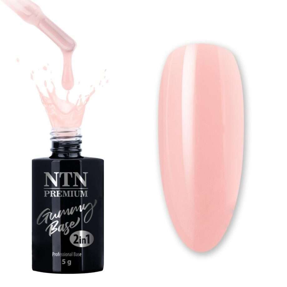 NTN Premium - Gummy Base - 2in1 Hybridlack - 5g Nr2