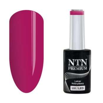 NTN Premium - Gellack - Celebration - Nr171 - 5g UV-gel/LED