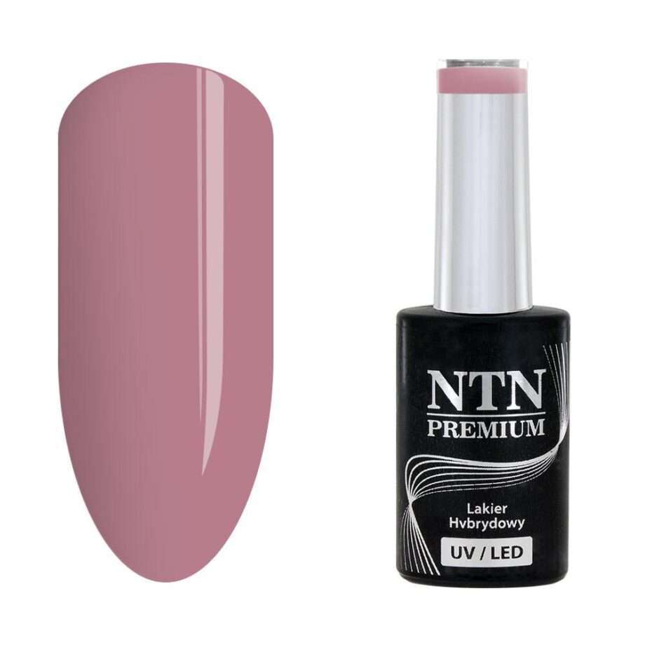 NTN Premium - Gellack - Day Dreaming - Nr58 - 5g UV-gel/LED