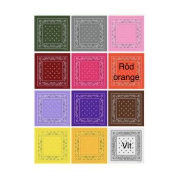 Bandana Paisleymönster scarfs